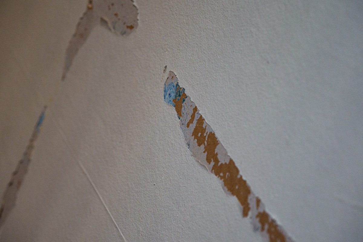 Structural Drying service in Austin, TX